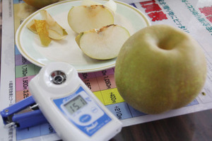 funayoshien20120809 005.jpg